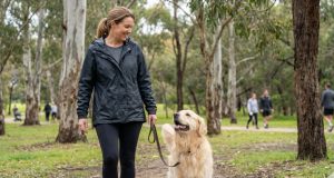 Weekend Away with pet-sitting 